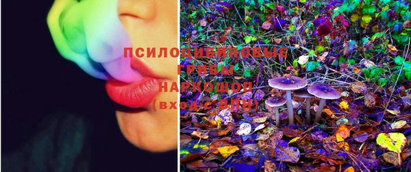 MESCALINE Магас