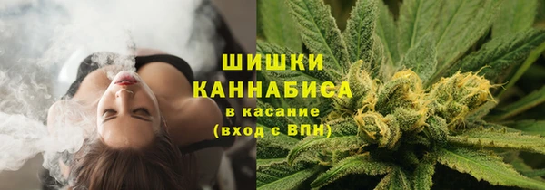 PSILOCYBIN Ленинск