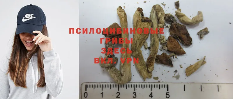 Псилоцибиновые грибы MAGIC MUSHROOMS  mega   shop клад  Лесозаводск 