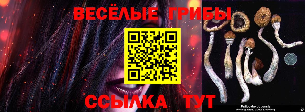 Галлюциногенные грибы Magic Shrooms  Лесозаводск  Псилоцибиновые грибы мухоморы 
