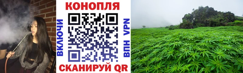 Бошки марихуана THC 21%  наркота  Лесозаводск 